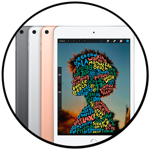 iPad Mini 5 - Silver -  (USED)